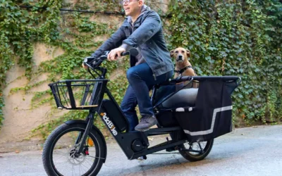Lastenfahrrad gebraucht kaufen: Transport zum kleinen Preis!