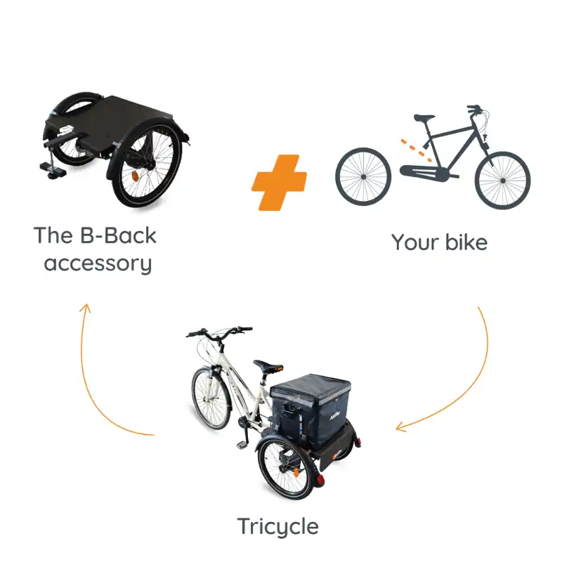 Disabled tricycles adults: how to transform your bike with the B-Back