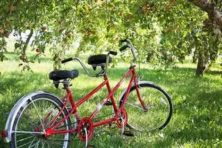 Behindertenfahrrad: Rotes Tandem draußen 