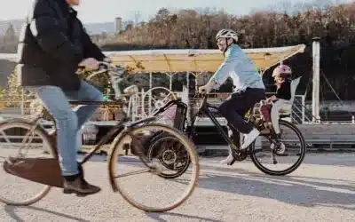 DIY cargo bike: build your own & improve your daily mobility