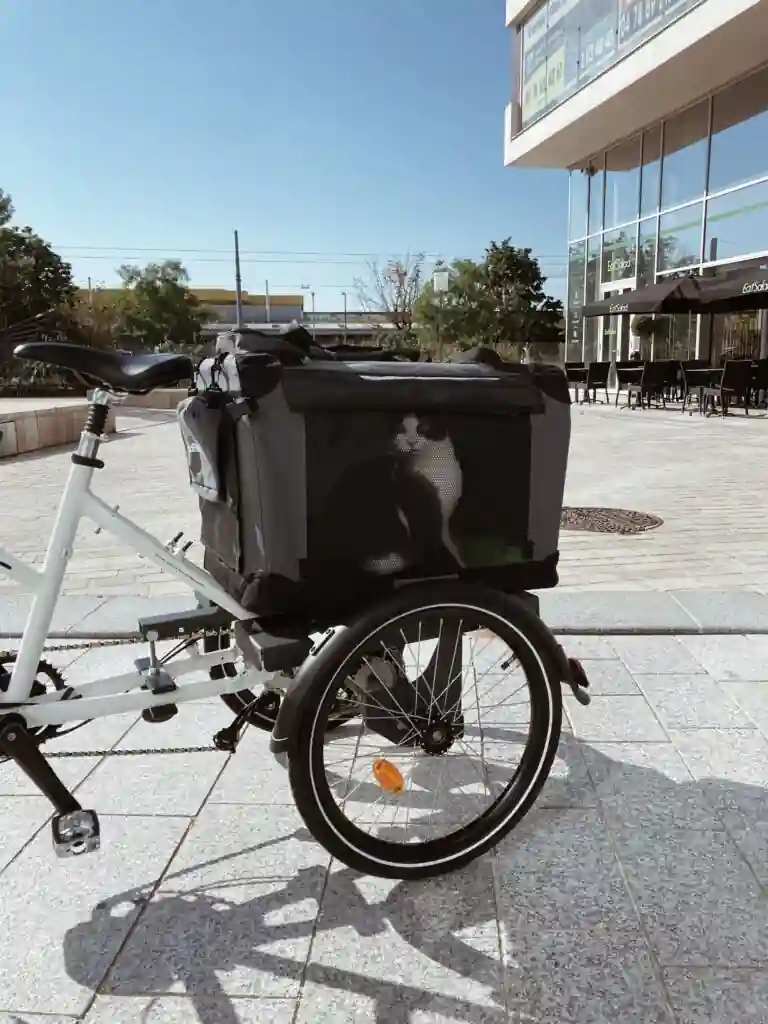 Dog carrier for bike: the B-Back Animal transporting a cat in an urban environmen
