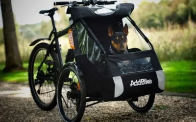 Dog on a bike: the experience of Sheela with our dog accessory