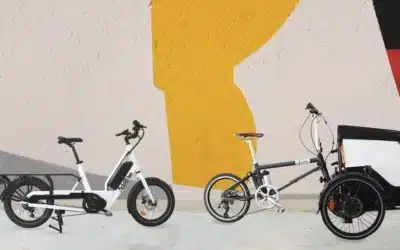 Ein Dreirad E Bike ideal angepasst auf Ihre Bedürfnisse kaufen!