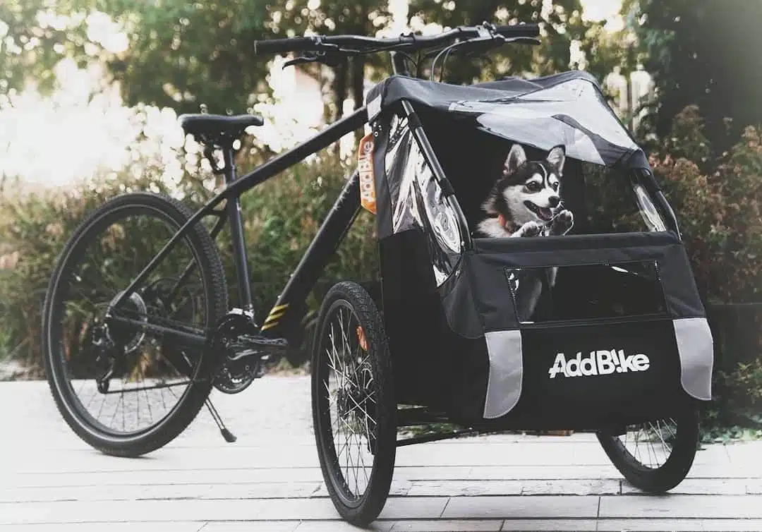 Dreirard Erwachsene für den Hundetransport und Dog Kit 