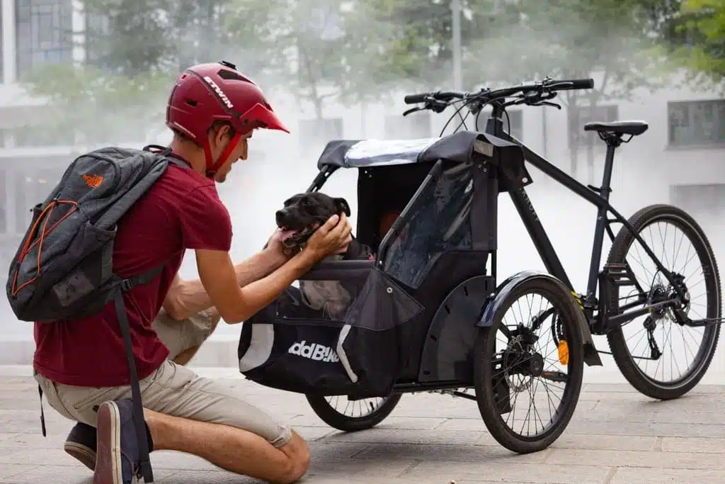 Elektro Lastendreirad für Hundetransport
