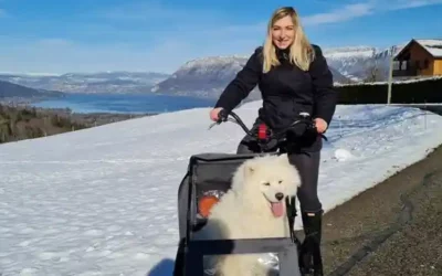 Laurie, 2 Hunde und 1 Kaninchen: Fahrrad Front Transport Hunde