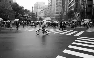 Fahrrad Regenschutz: der beste Schutz mit Trockenheitsgarantie!