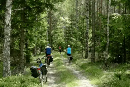 Fahrradfahren mit kindern : Masuren-Radweg in Polen