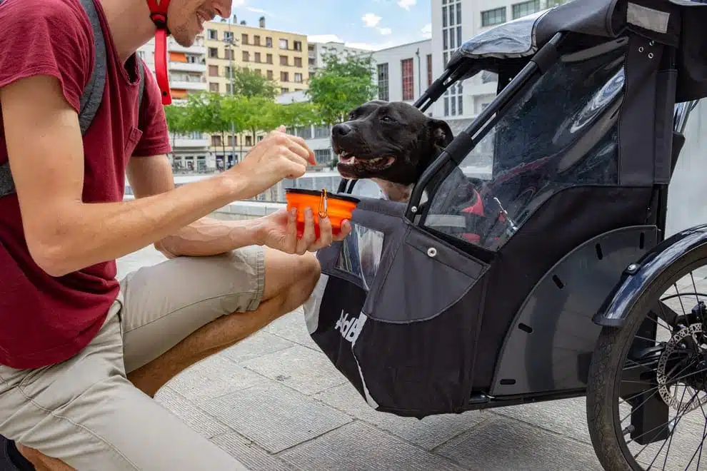 Fahrradtour mit Kindern und Hund auf dem U-Cargo