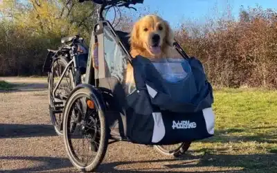 Hundetransport Fahrrad vorne: Für Ihren Urlaub oder im Alltag!