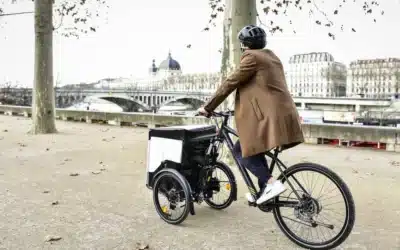 Lastendreirad Elektro – Warum sich der Kauf für Sie lohnen wird!