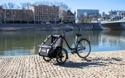 Lastenfahrrad Kindertransport: Cléments Erfahrung mit dem Kid Kit
