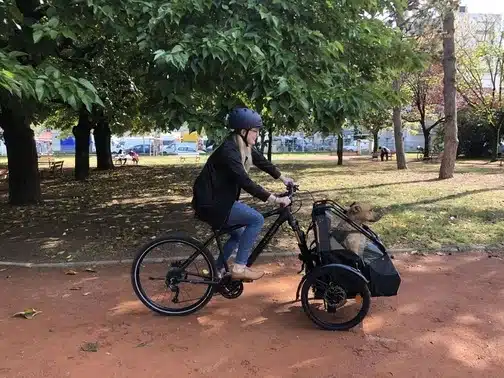 Lastenfahrrad für Hunde