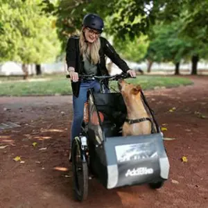 Lastenfahrrad gebraucht mit dem Dog Kit 