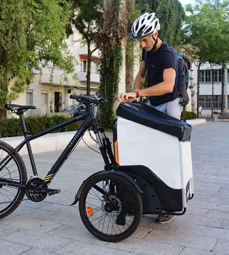 Three wheel bike for adults drive with packages