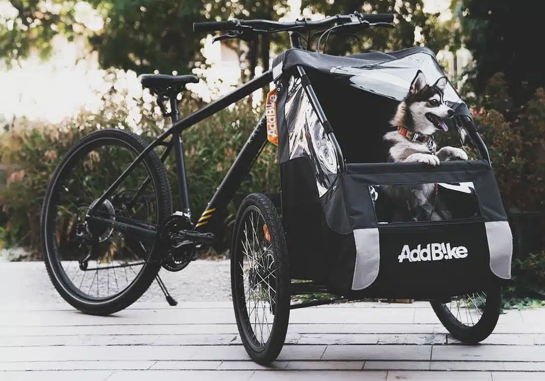 Hunde Fahrradanhänger für E Bikes: Hund mit Kit Dog