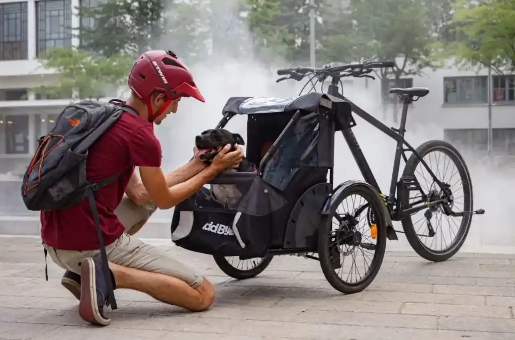 Try a dog carrier bike to get around with your furry friend!