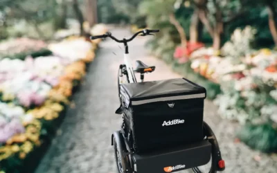 Disabled tricycles adults: explore innovative solutions