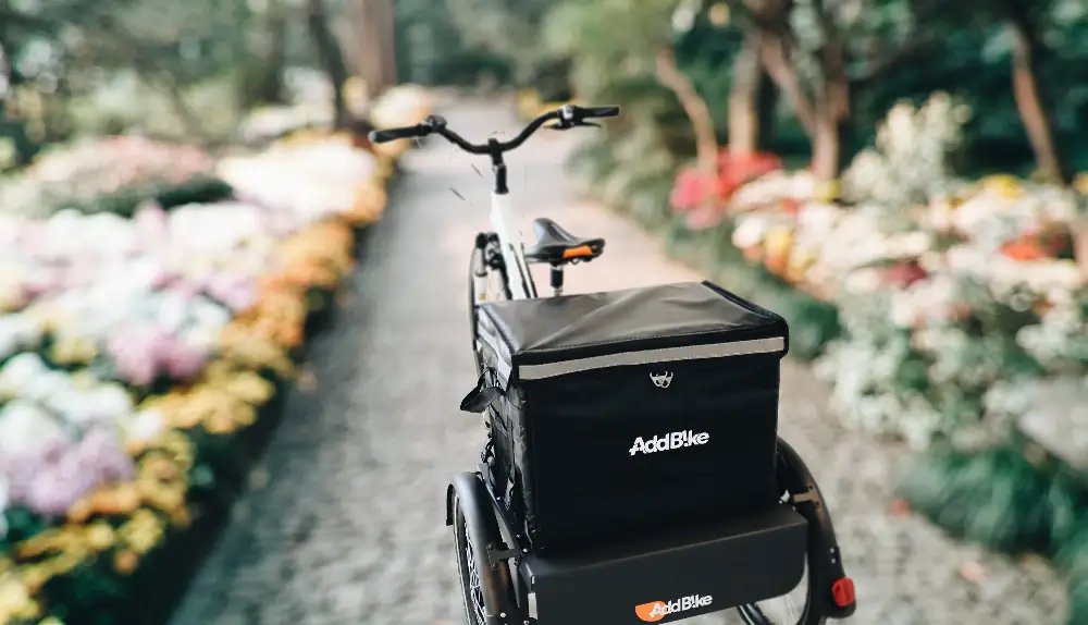 Disabled tricycles adults: explore innovative solutions