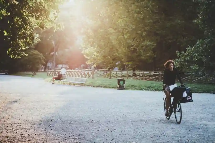 E-cargo bikes: a big asset in everyday life and bicycle tourism