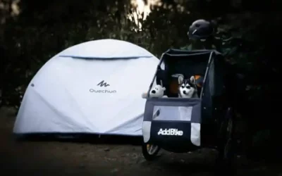 Remorque vélo chien : un voyage facilité avec la Carry’Dog !