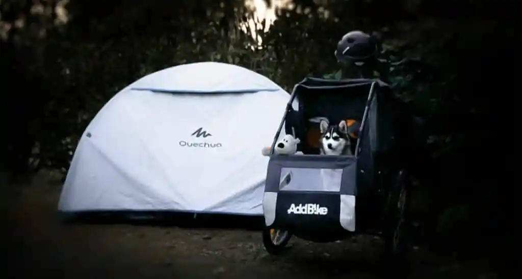 Remorque vélo chien : un voyage facilité avec la Carry’Dog !