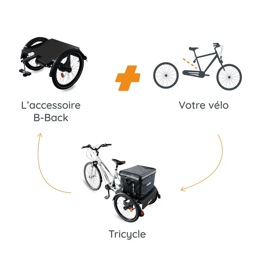 Schema B-Back