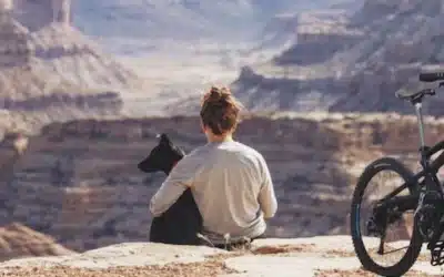 Trailer for dogs: what model to choose for all your outings?