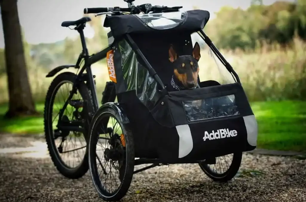 Transport chien vélo : l’expérience de Sheela avec notre Kit Dog