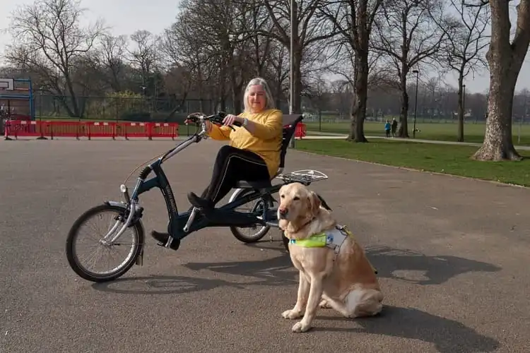 Vélo tricycle adulte électrique : explorez les différentes solutions !