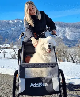 Triporteur Annecy : Laurie et son chien