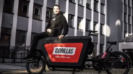 Gorillas utilisent un velo remorque
