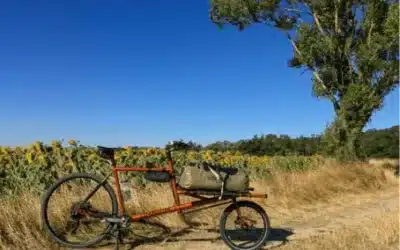 Utiliser un velo remorque avant à la campagne ? C’est possible !