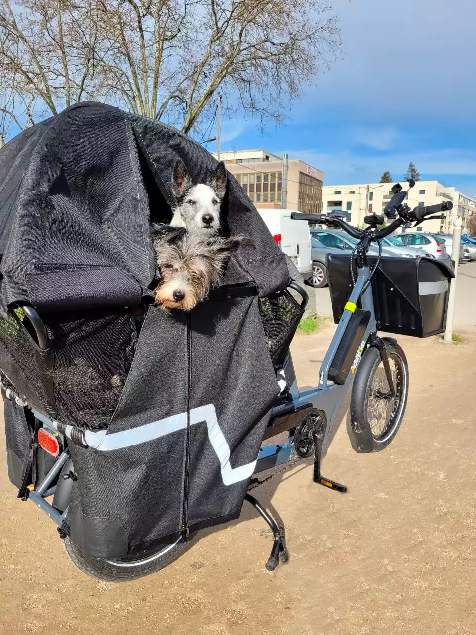 U-Cargo adapté pour les chiens