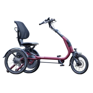 Tricycle électrique_Easy Rider Compact