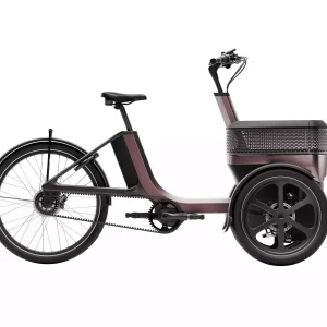 Tricycle adulte électrique moderne et confortable
